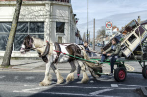 Gipsy Horse