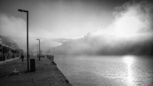 Foggy Morning #2