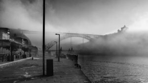 Foggy Morning #1