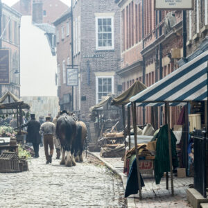Horses