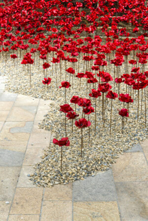 Ceramic poppies