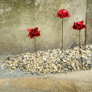 Poppies #1