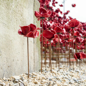 Poppies #2