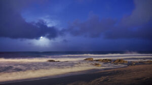 Carvalhido moonlight
