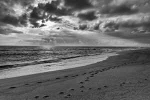 Salgueira, Praia